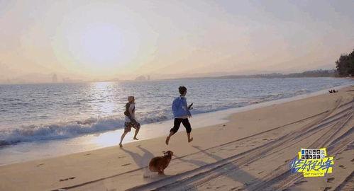 赶海捡到太子爷，福气渔女要翻天,福气渔女逆袭太子爷，开启翻天覆地新篇章