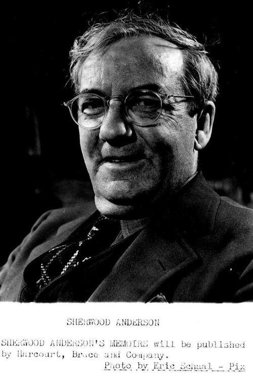 失魂舍伍德,探寻古老森林中的神秘传说