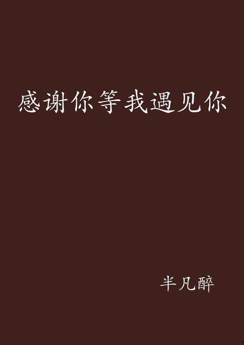 谢谢让我遇见你