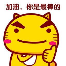 加油，你是最棒的,你是最棒的奋斗篇章