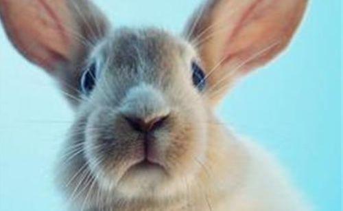 瓣嘴 第三季,唇枪舌剑再升级，巅峰对决一触即发